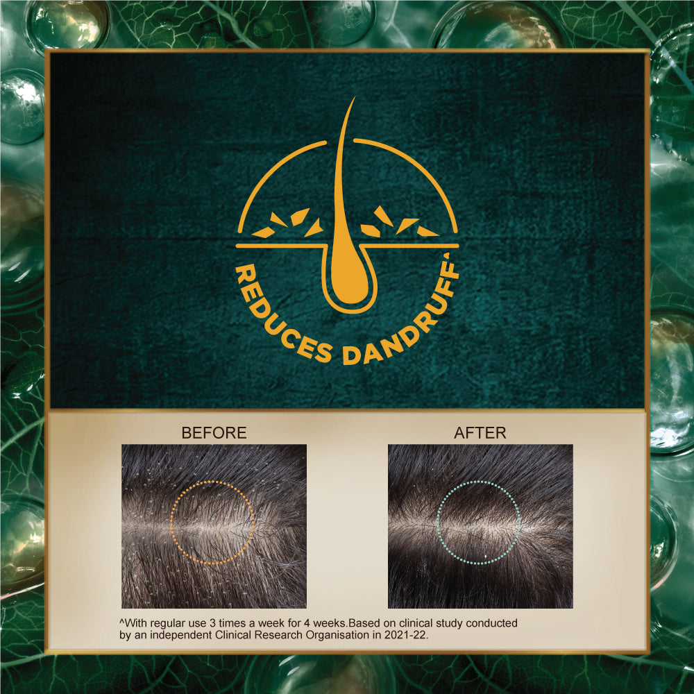 580ml,  Indulekha Svetakutaja Shampoo